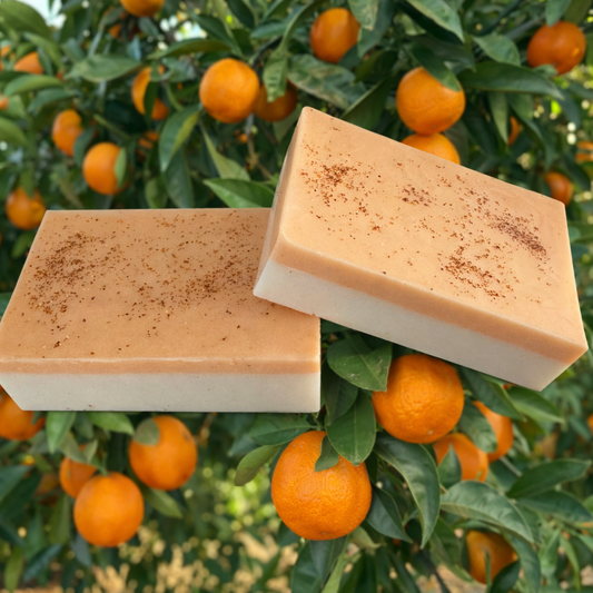 ORANGE BAR SOAP